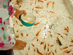 兄妹の金魚すくい