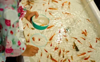 兄妹の金魚すくい