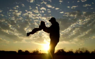 娘が好きだったハム太郎