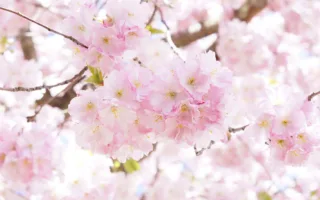 天国のお父さんへ