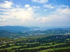 命があるということ