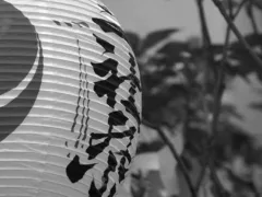 母のガイドブック