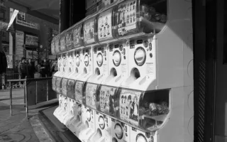 嬉しそうな笑顔を