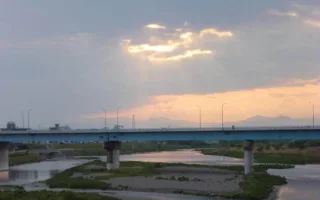 白猫のみーちゃん