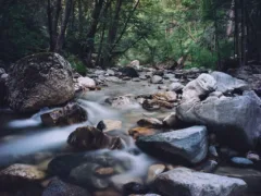 お母さんと呼んだ日
