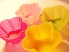 海老の入ったお弁当