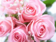 せかいでいちばんのしあわせ