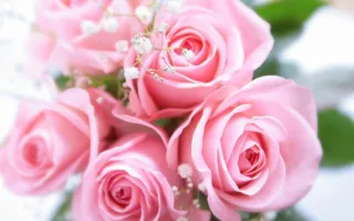 せかいでいちばんのしあわせ