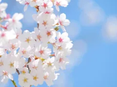 進学を願ってくれた母