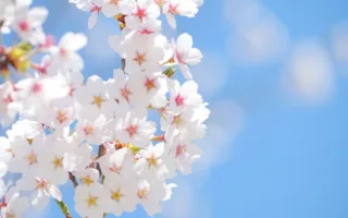 進学を願ってくれた母