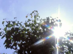 祖父が立てた誓い