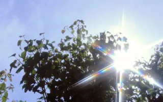 祖父が立てた誓い