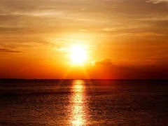 戦時中のパラオにて