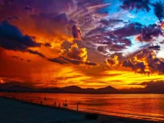 あの子は僕の友達なんです