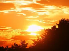 親父からの感謝の言葉