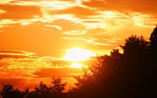 親父からの感謝の言葉