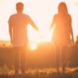 手を繋いで夕日を眺めるカップル（フリー写真）