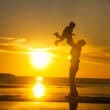 浜辺で子供を抱き上げる父親（フリー写真）