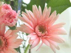 迷惑掛けてゴメンね