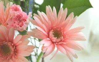 迷惑掛けてゴメンね