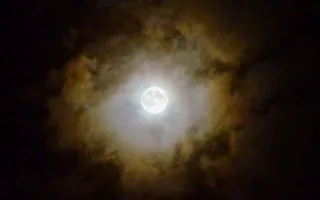 お月さんの下で