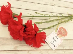 本当のお母さん