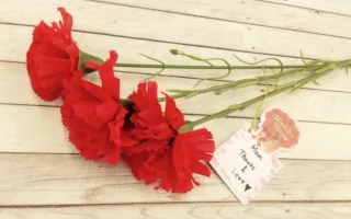 本当のお母さん