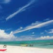 沖縄のビーチ（フリー写真）