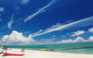 母の唯一のワガママ