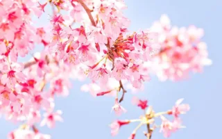 娘を思う父の心