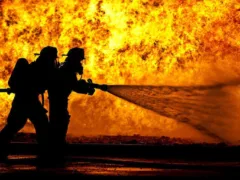 救助から生まれた恋