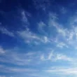命懸けの呼び掛け