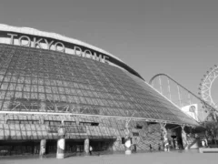 野球、ごめんね