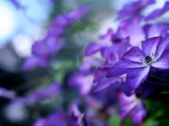 良い香りに包まれる