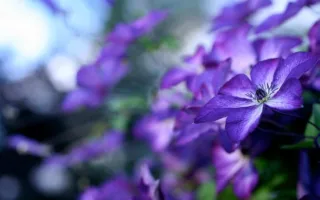 良い香りに包まれる