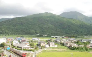 せめて届かないだろうか