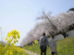 たった一つの記憶