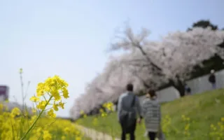 たった一つの記憶