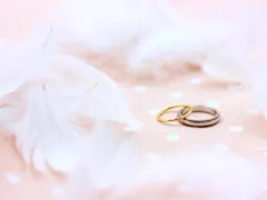 例外の入籍手続き