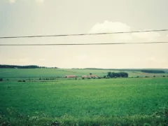 バス停の女の子