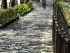 命よりも大切な友達