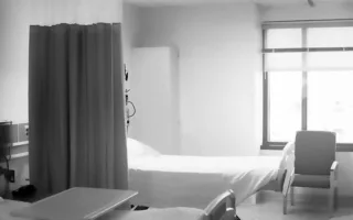 またどこかで会おうね