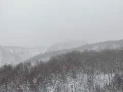 ばあちゃんの手紙