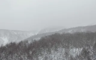 ばあちゃんの手紙