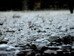 真っ直ぐな青年の姿