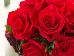 大きなバラの花束