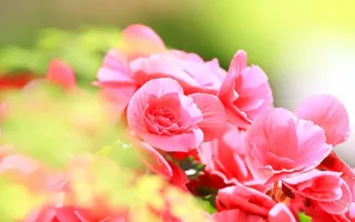 初めて好きになった人