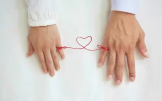 風変わりなアピール