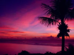 立派な将校さん