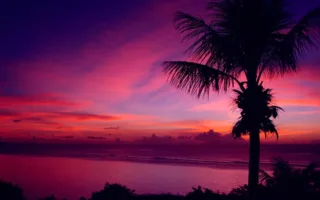 立派な将校さん